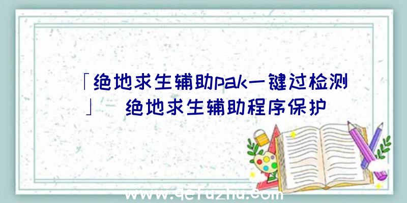 「绝地求生辅助pak一键过检测」|绝地求生辅助程序保护